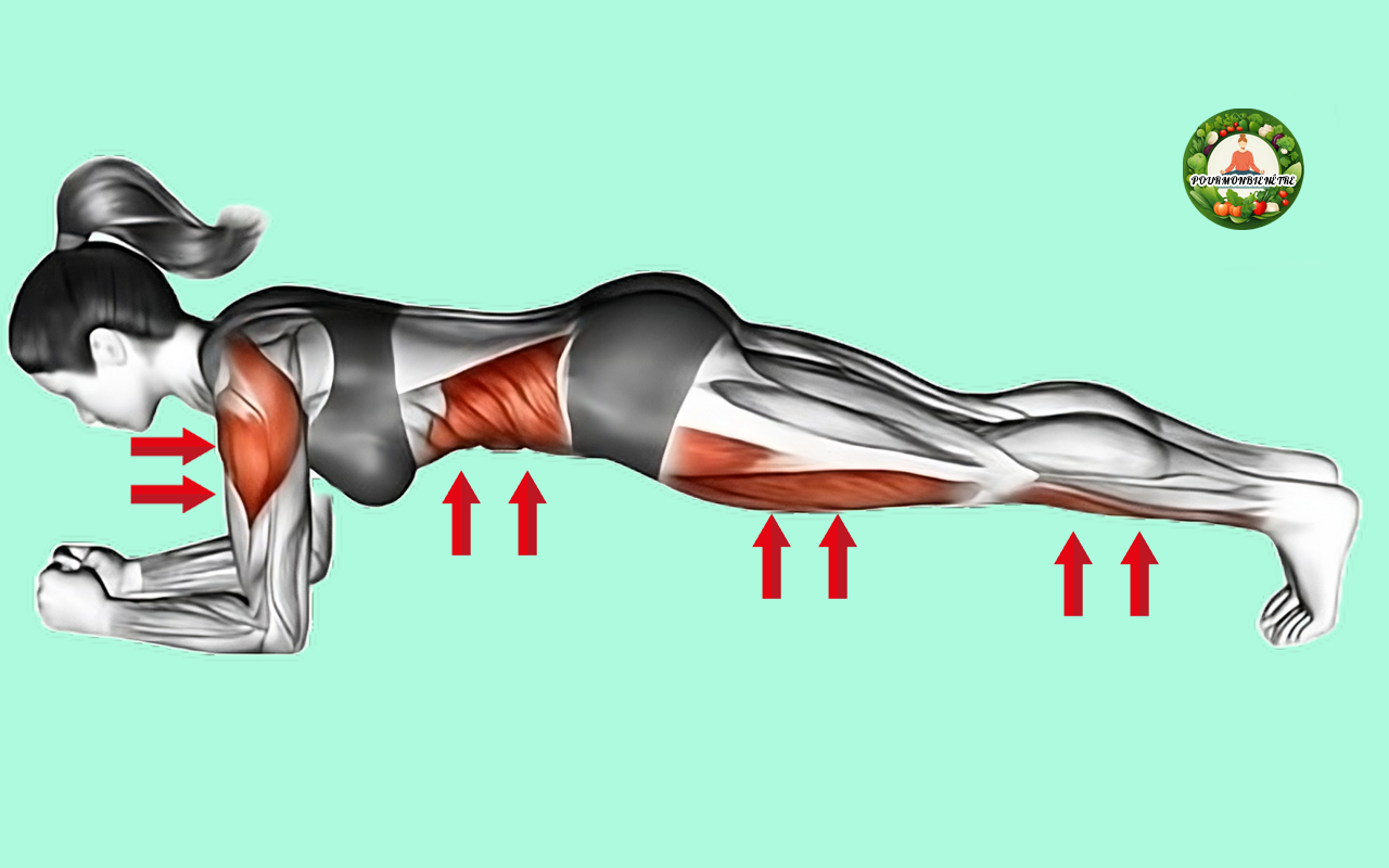 Exercices de planche